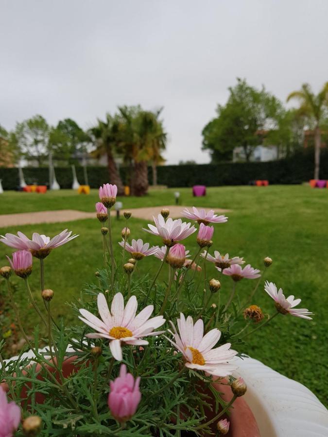 I Giardini Del Novecento Lamezia Terme Exterior foto